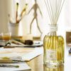 Dr. Vranjes Ambra Diffuser Set Glass Bottle 16.9 oz / 500 ml