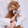 Petio FIXCARE Soft Slicker Brush for Dogs and Cats, Small