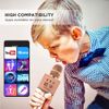 Gigastone Bluetooth V5.0 Karaoke Microphone Wireless Portable Handheld Speaker