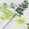 Midori 89587006 Single Pencil Notebook, Summer Letter, 4 Patterns, Summer Floral