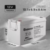 Renogy Deep Cycle AGM Battery 12 Volt 100Ah 1100A Max Discharge Current Off-Grid