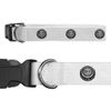 Small 'Beer Bottle Cap' Dog Collar (PR00064735)