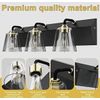 Guoduney 3-Light Modern Vanity Light Fixture 23.6 Inch, Over Mirror Lighting