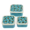 Rex London Snack Boxes (Set of 3) - Bumblebee