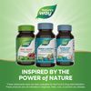 Nature's Way Horse Chestnut, Premium Extract, Promotes Healthy Leg Veins*, 250 mg per Serving, Vegan, 90 Capsules