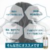 Lish Cool Shampoo Scalp Care Hibiscus & Iris 10.1 fl oz (300 ml)