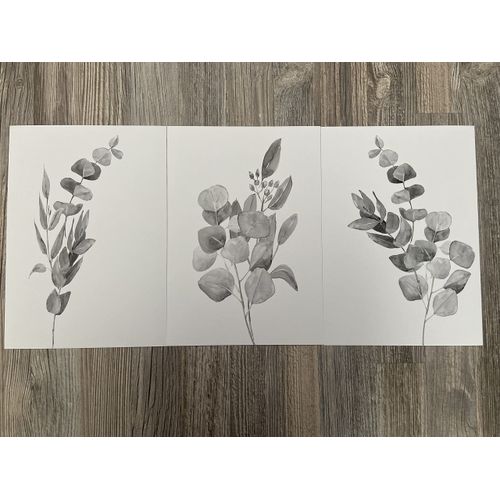 Gray Eucalyptus Botanical Wall Art Set of 3 Unframed Prints, Abstract Tropical Plant Posters, Living Room Office Bedroom Bathroom Home Decor, Plant Leaves (12x16)
