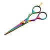 Sanguine Professional Hair Cutting Scissors - 5.5" (14cm) Presentation Case