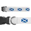 Large 'Waving Scottish Flag' Dog Collar (PR00048228)