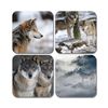 4 x Square Wolf Coasters - Wolves Pack Animal Wild Winter Set Theme Gift #78367
