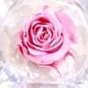 Preserved Flower Mini Crystal Box (Pink)