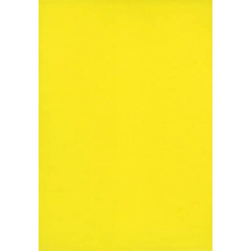 APLI Kids Gekleurd Papier Fluor Assorti A4 | Kids Made