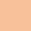 Pantone TPG 8.5X11 Sheet 13-1019 Cream Blush