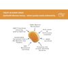 Manuka Honey: UMF 20+ - 500 Grams