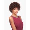 Sensationnel Bump Human Hair Wig - Tiny-F1B33