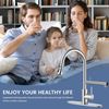 Kitchen Faucets, Upgraded Filter Water Kitchen Faucet with Pull down Sprayer, Br