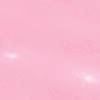 FACE atelier Lip Glaze 15ml Flamingo