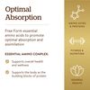 Solgar Essential Amino Complex, 90 Vegetable Capsules - Free Form Essential Amino Acids - Non-GMO, Vegan, Gluten Free, Dairy Free, Kosher - 90 Servings