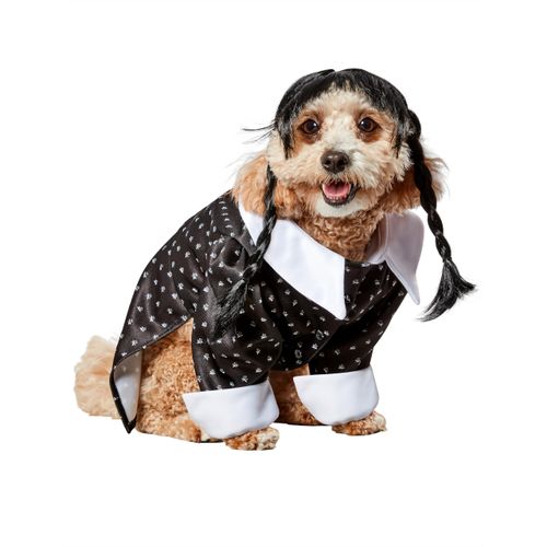 Rubies Wednesday TV Series: Wednesday Addams Pet Costume for For Dogs or Cats, Large