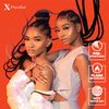 Sensationnel 6X X-Pression Pre-Stretched Braid 58 in (1B)