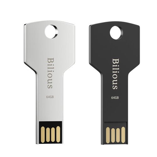 Bilious USB Keychain Flash Drive 2PCS 64GB, Metal Style Thumb Drive Portable USB 2.0 Memory Stick, Waterproof Jump Pen Drive for Storage and Backup