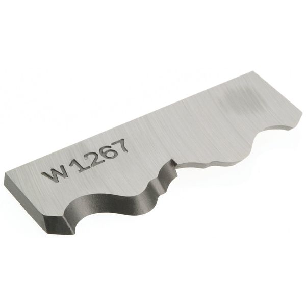 Woodstock W1267 2-1/2-Inch Rosette Knife