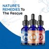 MediNatura BodyAnew Oral Drops 3 Step Homeopathic Cleanse - Whole Body Support for Women & Men - 150 ml Drops