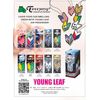 4 Pack Treefrog Young Leaf Cool Squash Hanging Air Freshener Wakaba Shape