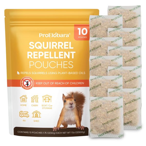 Squirrel Chipmunk Repellent Deterrent Indoor: Powerful Squirrel Mice Repellent Indoor - Repels Mice Mosquito Rats Roaches Ants Spiders - Chipmunk Squirrels Mint Bugmd Deterrent (10 Pouches)
