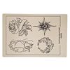 Large A4 Size Flower and Sun Tattoo Practice Skin
