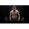 muscle stimulator - NITRIC OXIDE 2400mg - nitric oxide boost - 2 Bottles