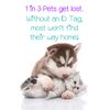 Loki Custom Pet Id Dog Tag Personalized w/Name & Number
