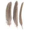 Create it Easy Guinea Fowl Feathers, Approx. 18 cm, Pack of 5