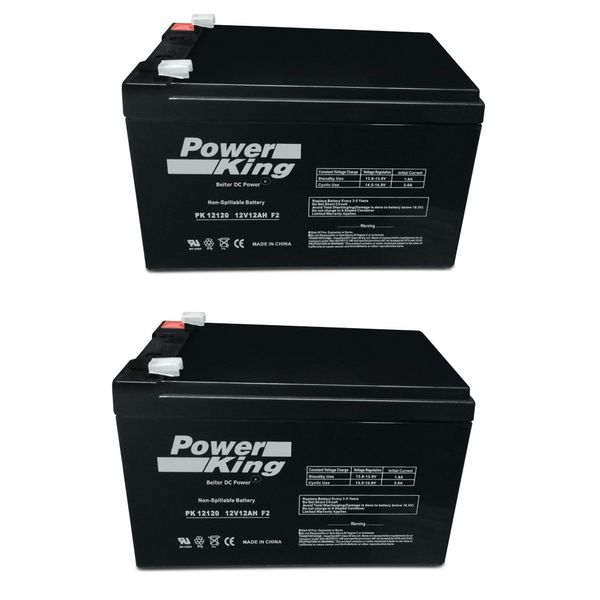 Beiter DC Power High Performance Replacement Batteries for SC40E Go-Go Elite Traveler 3-Wheel Scooter & SC44E Go-Go Elite Traveler 4-Wheel Scooter