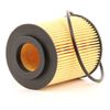 TJ QFL0021-TEX Oil Filter