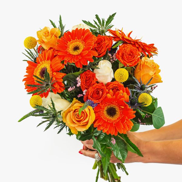 BloomsyBox Farm-Fresh Celebration Bouquet - Multicolor Design, Includes Care Instructions, Personalized Card & Plant Food, Fresh Flower Delivery For Birthdays, Anniversaries, Weddings & Funerals