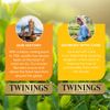 Twinings Tea Green Tea, Decaf, 20 ct