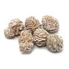 CrystalAge Desert Rose Specimen - Medium