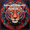 Natural Emotional Mandala - 6