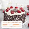 myline Protein Stracciatella