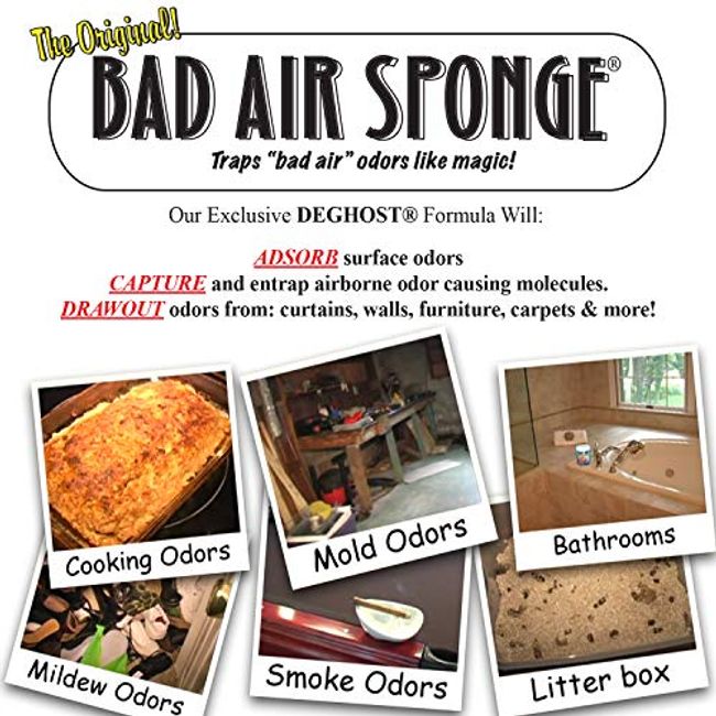 Bad Air Sponge 2 lb. Air Odor Absorbent
