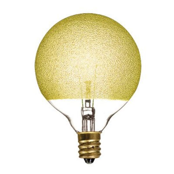 40W G16 Incandescent Medium Base Bulb [Set of 4]