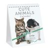 Personalised Desk Calendar. Cute Animals Calendar