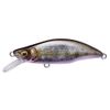 Megabus GH51 HUMPBACK (FS) Takumisake Fry