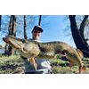 LMAB Bleak Shad 6 cm, 9 cm, 12 cm, 15 cm, 18 cm KÖFI – Rubber Fish Fishing Lure – Rubber Bait for Zander, Perch, Pike & Trout – Zander Bait, Pike Bait, Artificial Bait (9 cm, Galaxy)