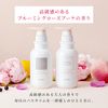 Scalp D Beaute Shampoo Volume Refill (ANGFA) 10.1 fl oz (300 ml) (Quasi-Drug)