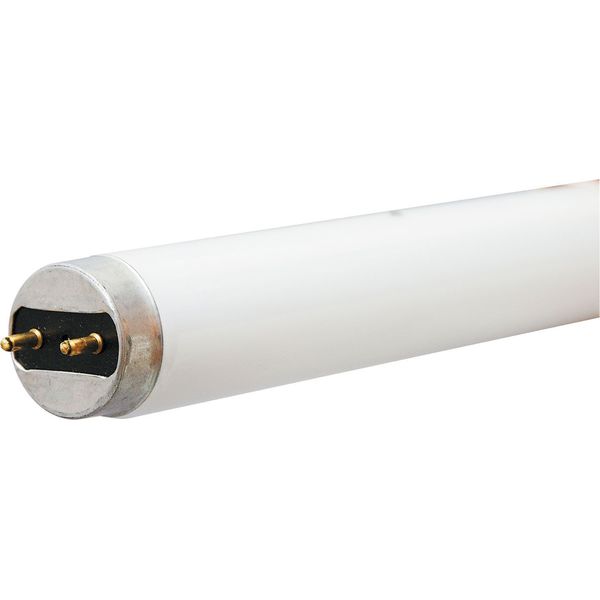 BULB-FLUR F15T8/KB GE