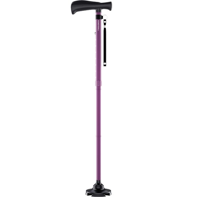 HONEYBULL Walking Cane for Women & Men | Free Standing, Foldable, Pivot Tip [Purple]