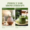 Essential Oils Set - 24 Pcs Essential Oil Kit for Diffuser, Aromatherapy, Massage, Skin Care, Soap & Candle Making - Premium Aromatherapy Diffuser Oils Set