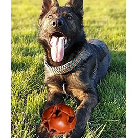 Throwing Ball Dog, Natural Rubber Ball Rope, Ball For Dogs, Dog Ball  Perfect Dog Training - Exercise And Reward Toy For Fetching, Catching,  Throwing